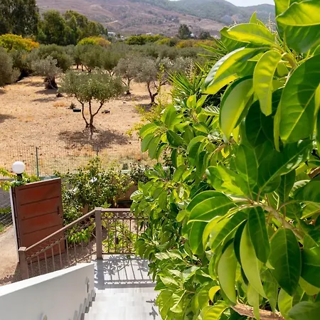 Nikitas & Loft Kos By