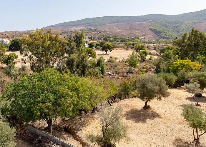 Nikitas & Loft Apartamento