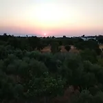 Nikitas & Loft Miasto Kos