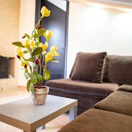 Nikitas & Loft * Kos