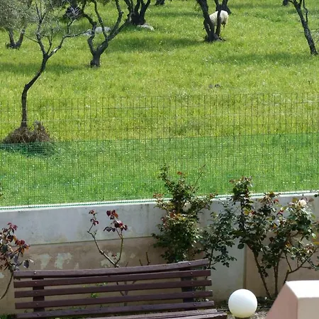 Nikitas & Loft Apartament